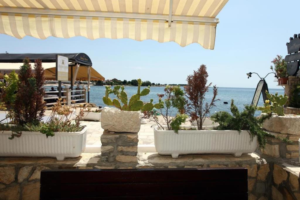 Sea View Apartment Umag 2 Dış mekan fotoğraf
